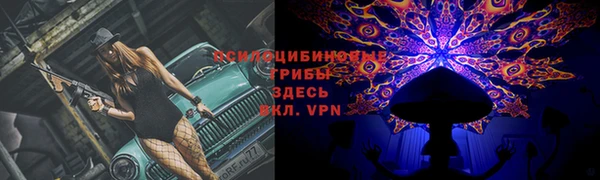 эйфоретик Богородск