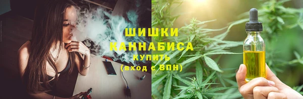 эйфоретик Богородск