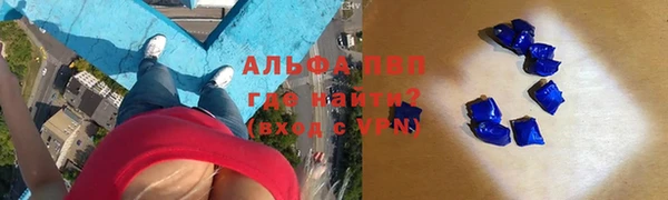 амф Богданович