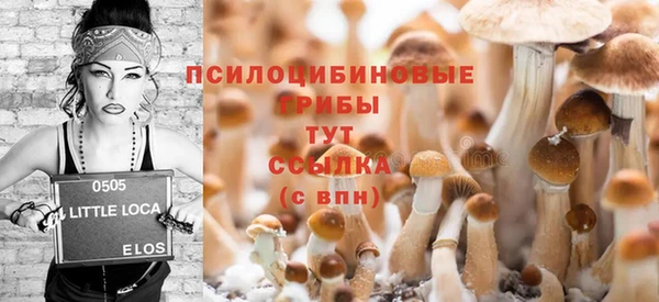 амф Богданович