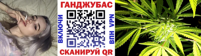 Бошки Шишки семена  магазин продажи наркотиков  Нижний Тагил 